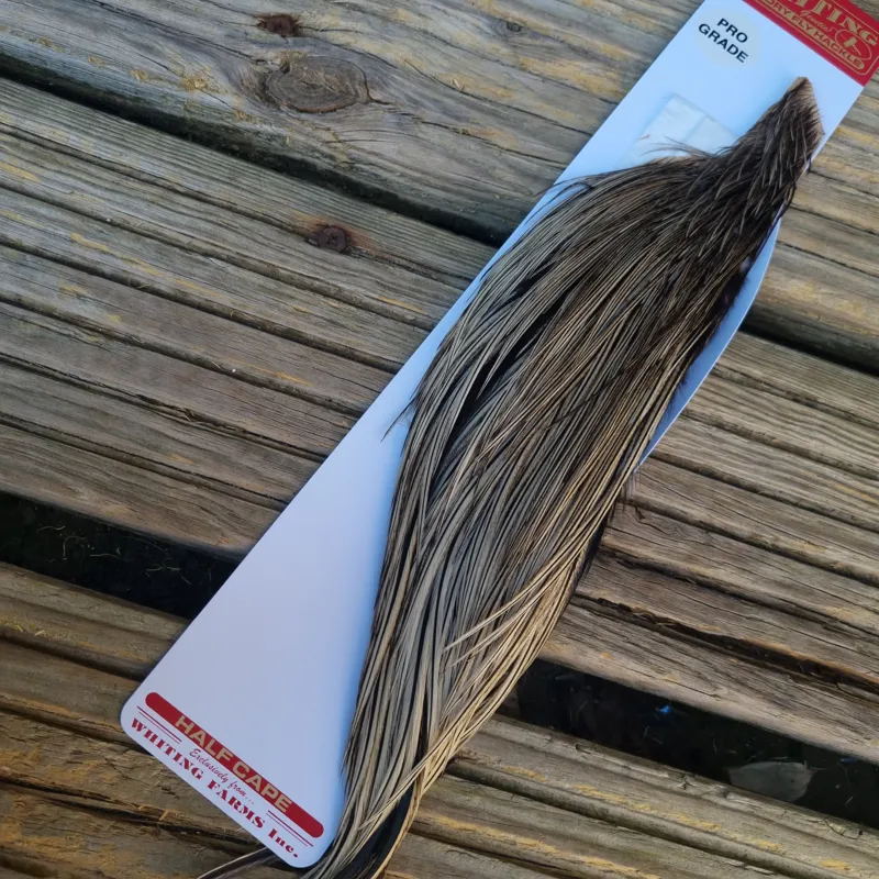 Whiting 1/2 Pro-Grade Dry Fly Rooster Cape in Silver Badger-1